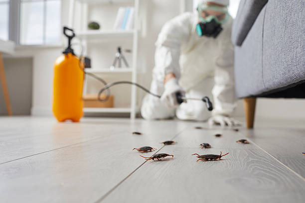 Commercial Kitchen Cockroach Control in Lone Tree